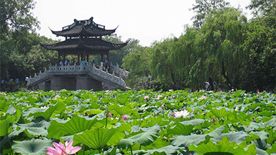 淺談我國傳統(tǒng)園林設(shè)計的特點