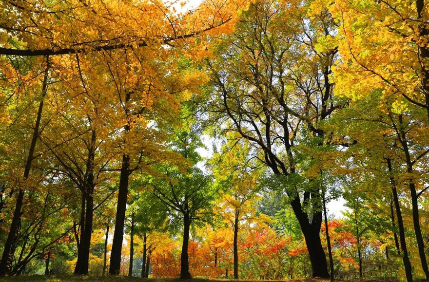 景觀設(shè)計圖片