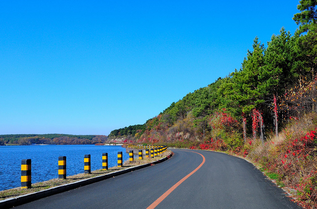 森林公園景觀設計圖片