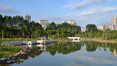 城市生態(tài)公園景觀規(guī)劃設(shè)計流程