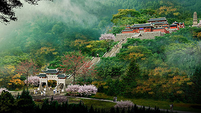 風景園林規(guī)劃中的生態(tài)修復策略